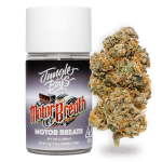 Jungle Boys Motor Breath - 3.5g Flower Jar, Motor Breath - 3.5g Flower Jar