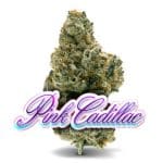 jungle boys pink cadillac, pink cadillac jungle boys, pink cadillac pink kush